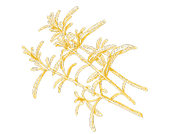 Fleur De Sel Marrakech